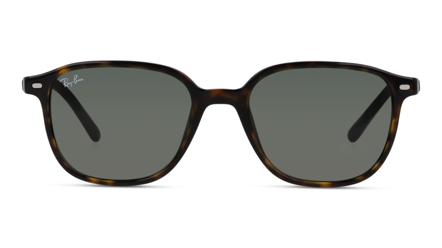 Ray-Ban 0RB2193 902/32 Brun
