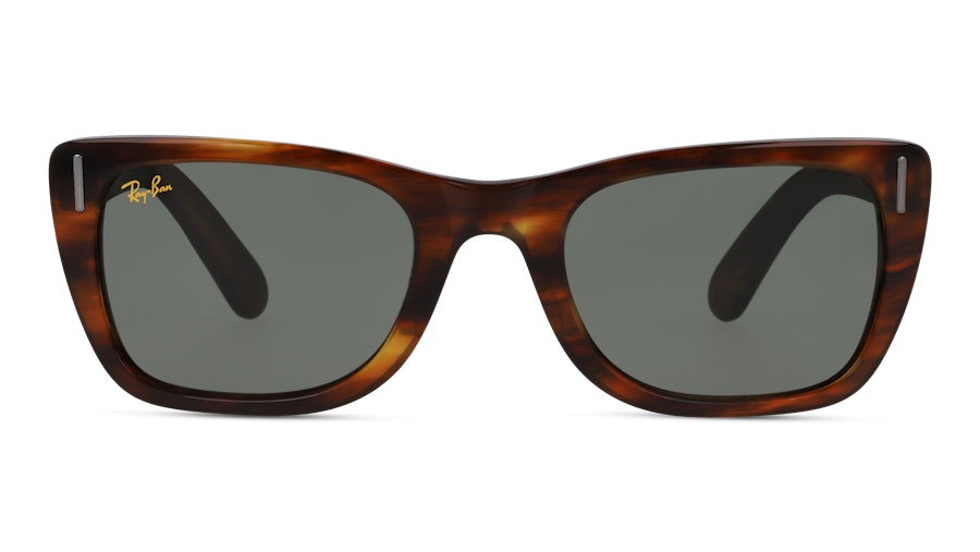 Ray-Ban 0RB2248 954-31 Brun
