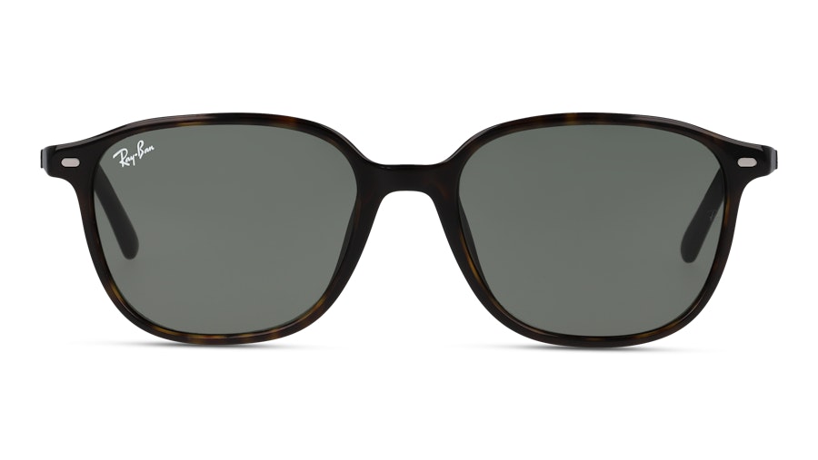 Ray Ban Leonard 0RB2193 902/31 Verde/Havana
