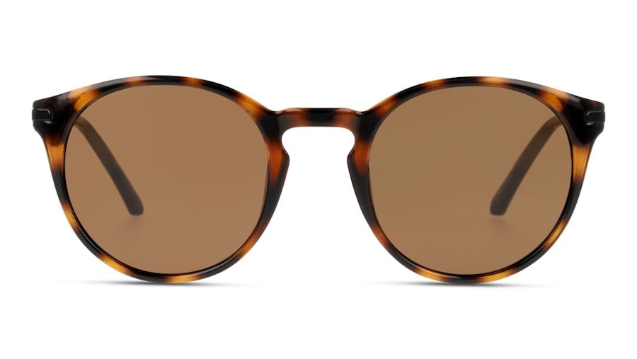 CK Jeans CKJ 20701SGV Men's Sunglasses Brown/Tortoise Shell