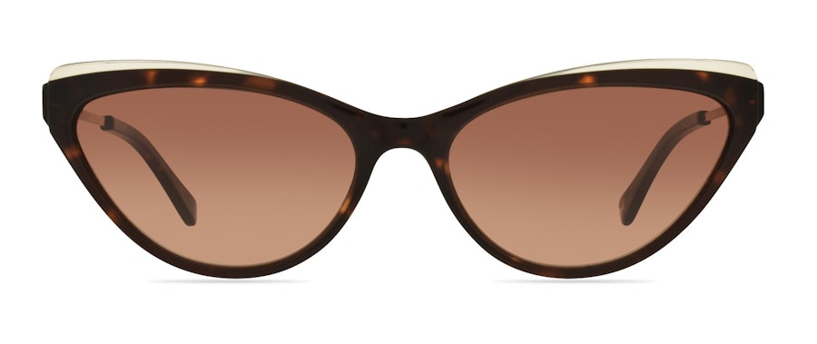 Ted Baker Emmy TB1569 Women's Sunglasses Brown/Tortoise Shell