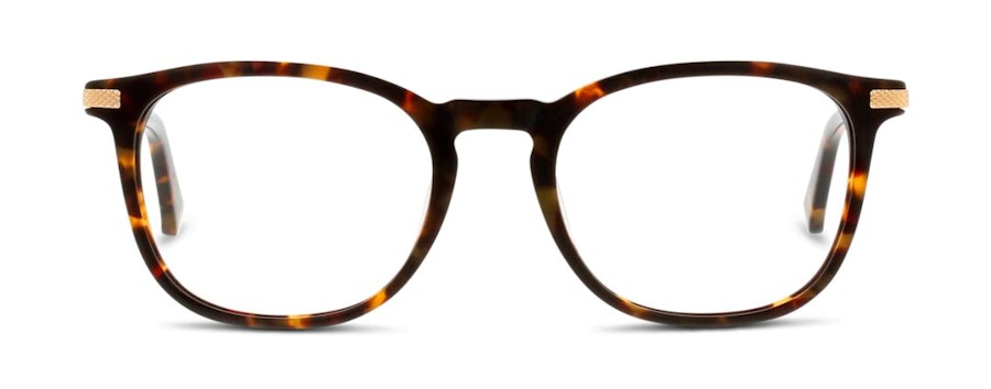 Ted Baker TB 8180 Men's Glasses Tortoise Shell