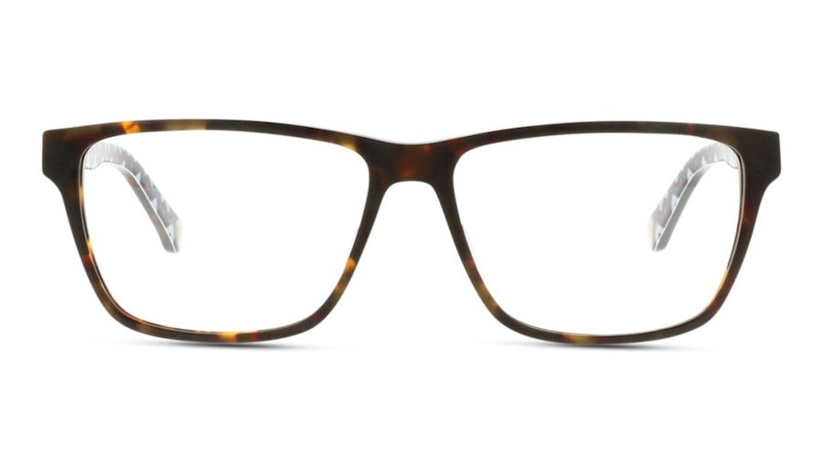 Ted Baker Duval TB 8199 (145) Glasses Tortoise Shell