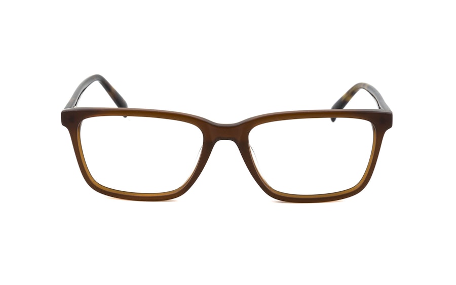 Joules JO 8103 (189) Glasses Brown