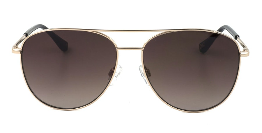 Ted Baker Demi TB 1524 (400) Sunglasses Brown / Gold