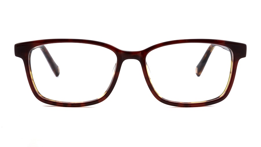 Ted Baker TB B970 (259) Children's Glasses Tortoise Shell