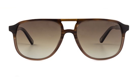 Fowey (BRN) Sunglasses Brown / Brown
