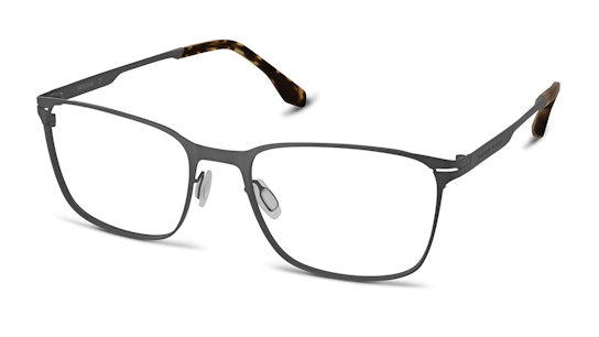 RR 3004M (C1) Glasses Transparent / Grey