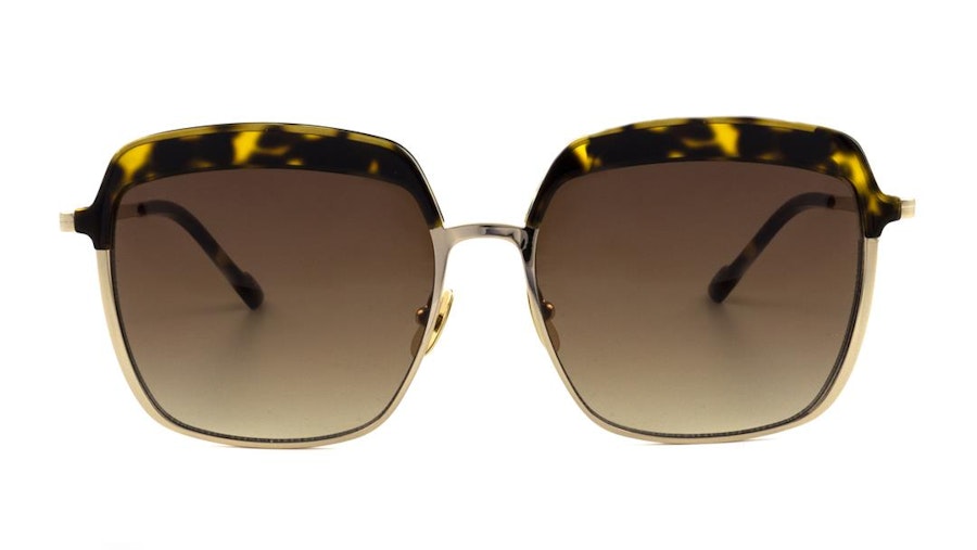 Sunday Somewhere Setlla Men's Sunglasses Brown/Gold