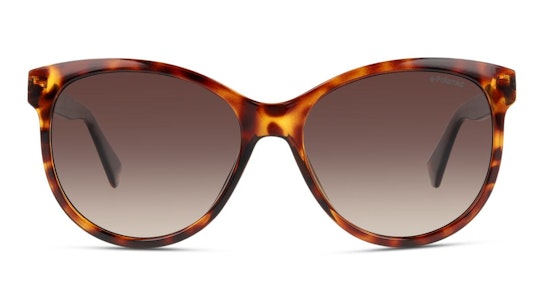 PLD 4079/S (086) Sunglasses Brown / Tortoise Shell