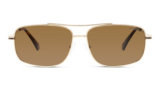 PLD 6107/S/X (J5G) Sunglasses Bronze / Gold