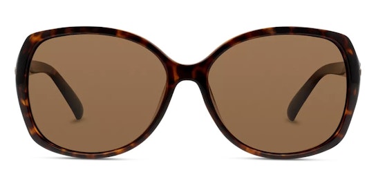 PLD 5011/S (V08) Sunglasses Brown / Tortoise Shell