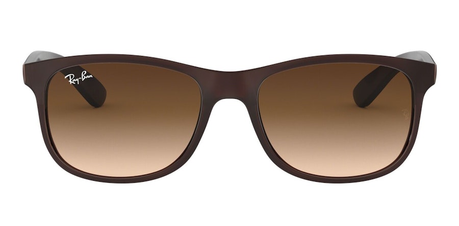 Ray-Ban Andy RB 4202 (607313) Sunglasses Brown / Brown