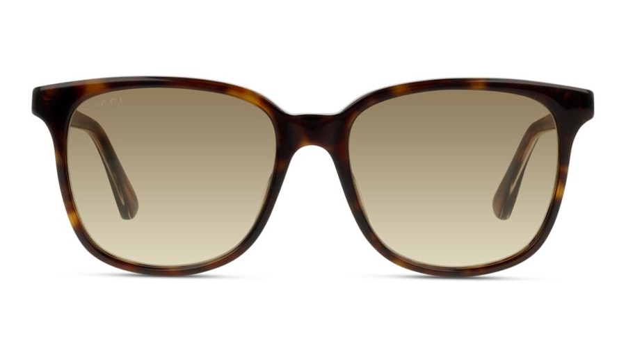 Gucci GG 0376S (002) Sunglasses Brown / Havana