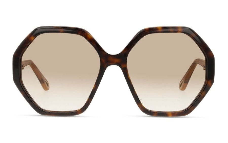 Chloe Esther CH 0008S Women's Sunglasses Brown/Tortoise Shell