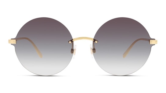 DG 2228 (02/8G) Sunglasses Grey / Gold