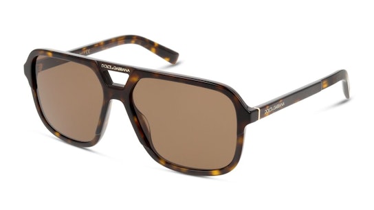 DG 4354 (502/73) Sunglasses Brown / Tortoise Shell