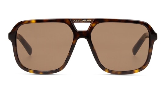 DG 4354 (502/73) Sunglasses Brown / Tortoise Shell