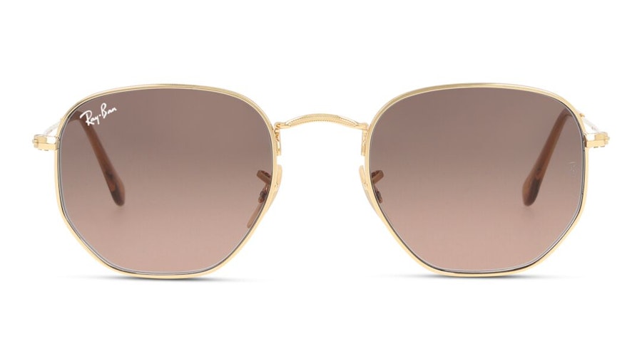 Ray-Ban Hexagonal RB 3548N Unisex Sunglasses Dark Brown / Gold