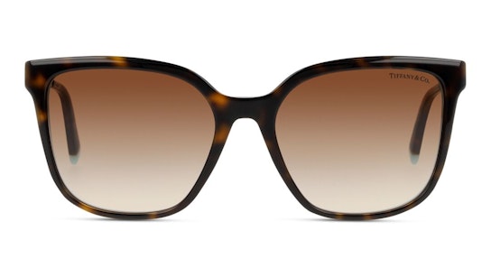 TF 4165 (82753B) Sunglasses Brown / Tortoise Shell