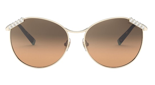 TF 3073B (60213B) Sunglasses Brown / Gold