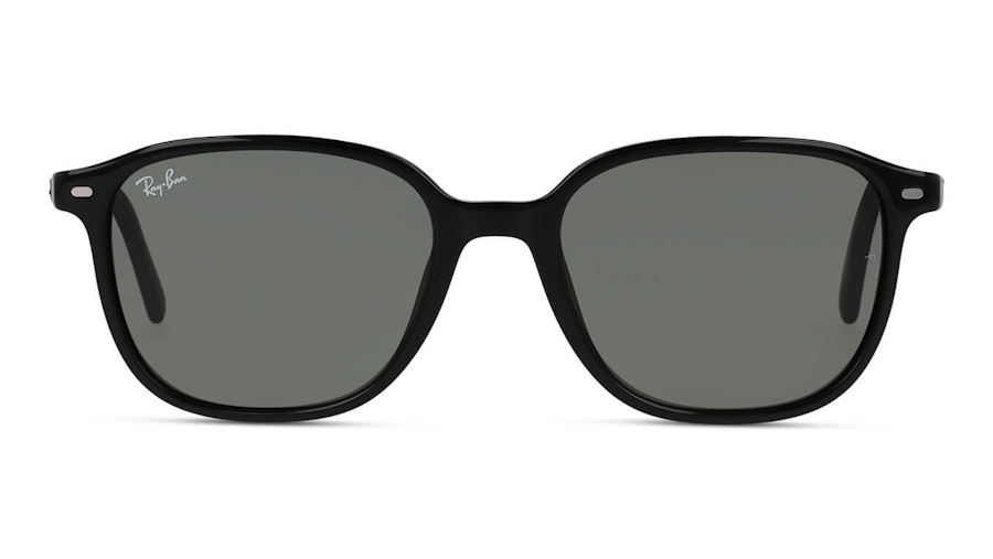 Ray-Ban Leonard RB 2193 Men's Sunglasses Green/Black
