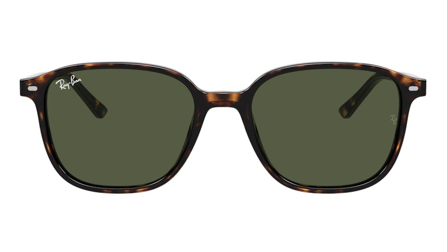 Ray-Ban Men's Sunglasses Leonard RB 2193 | Vision Express