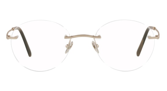 AR 5115 (3002) Glasses Transparent / Gold