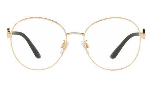 DG 1339 (02) Glasses Transparent / Gold