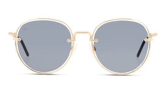 Escobar (C50) Sunglasses Grey / Gold