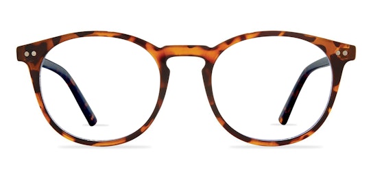 Maestro (C10) Glasses Transparent / Brown