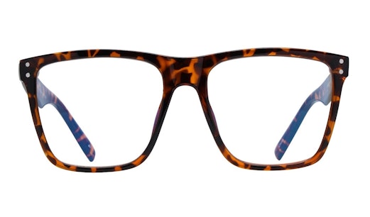 Visionary MLK (C10) Glasses Transparent / Havana