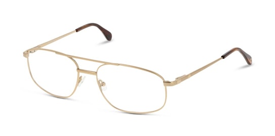 CL CM09 (Large) (DD) Glasses Transparent / Gold