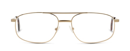 CL CM09 (Large) (DD) Glasses Transparent / Gold