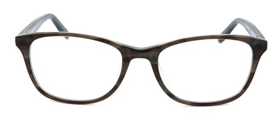 31 (C1) Glasses Transparent / Grey