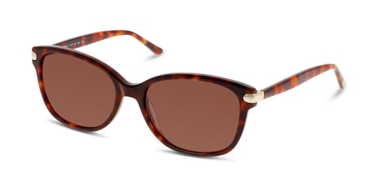CN EF12 (HH) Sunglasses Brown / Havana