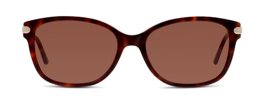 CN EF12 (HH) Sunglasses Brown / Havana