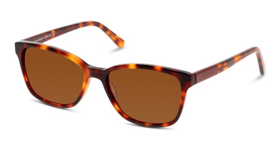 CN EF22 (HR) Sunglasses Brown / Tortoise Shell