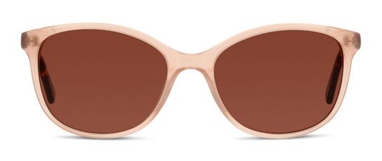 CN EF24 (PH) Sunglasses Brown / Brown