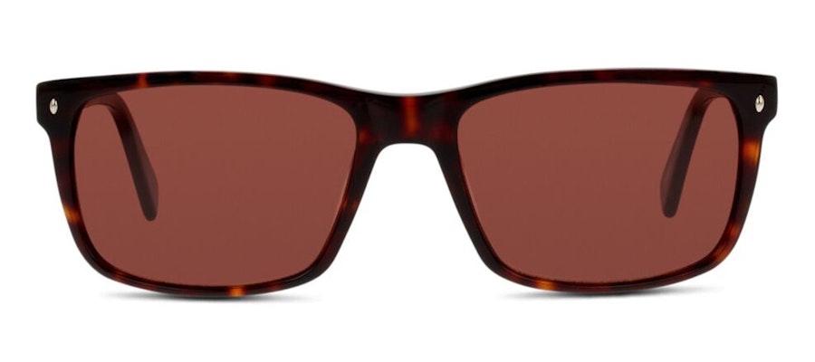 C-Line CN EM23 (HC) Sunglasses Brown / Tortoise Shell