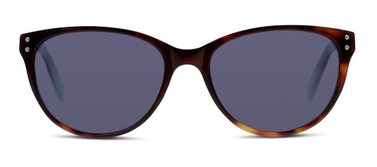 CN GF05 (HL) Sunglasses Blue / Tortoise Shell