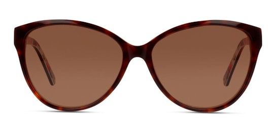 CN IF05 (HP) Sunglasses Brown / Brown
