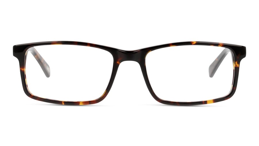 DbyD Life DB OM0022 Men's Glasses Havana