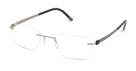 Titan Accent 5448 (6050) Glasses Transparent / Silver