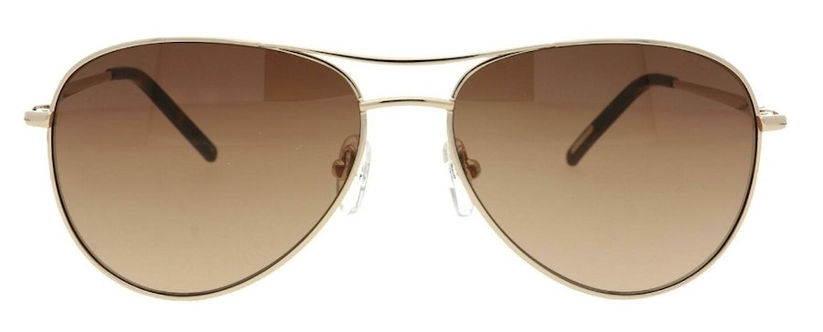 Ted Baker Carter TB 1166 Men's Sunglasses Brown/Gold
