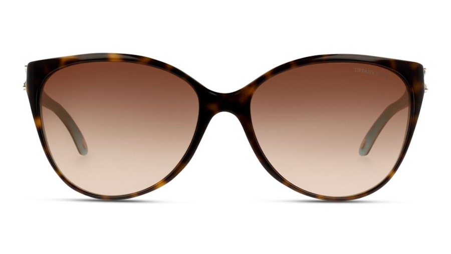 Tiffany & Co TF4089B Women's Sunglasses Brown/Tortoise Shell