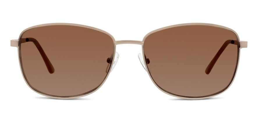 Seen FF09 Men's Sunglasses Brown/Gold