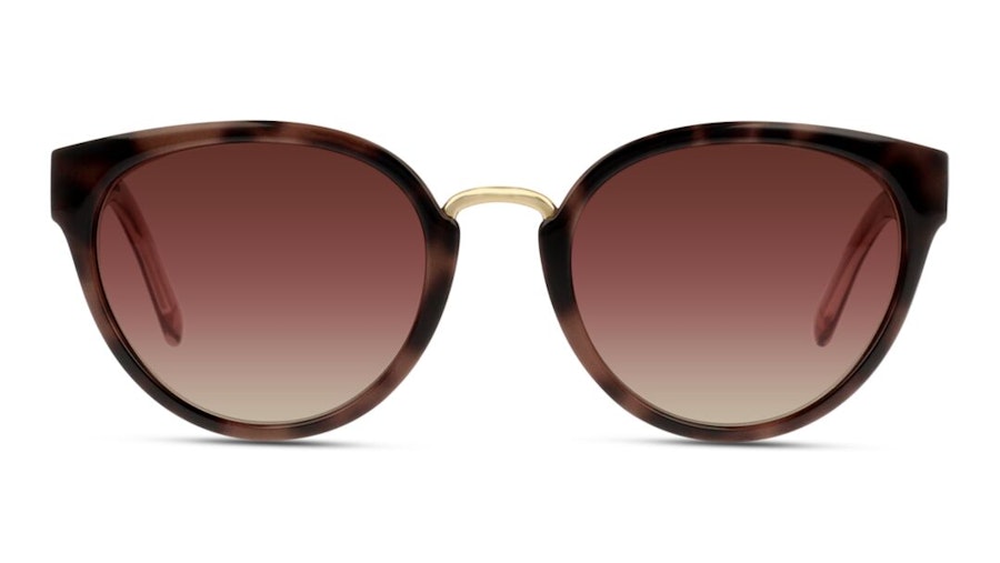 Burberry BE 4249 Women's Sunglasses Brown/Brown