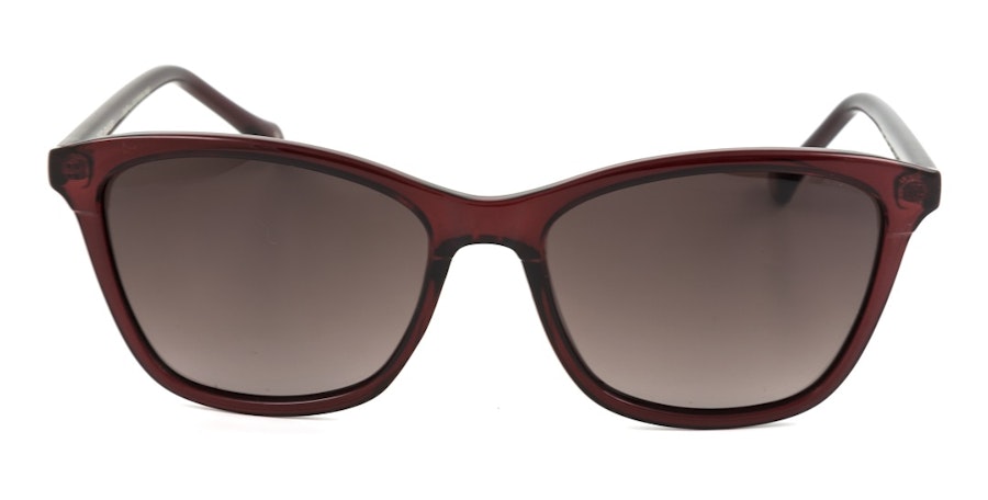 Ted Baker Tari TB 1440 Women's Sunglasses Brown/Red