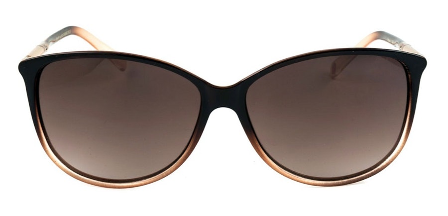 Ted Baker Raven TB 1495 Women's Sunglasses Brown/Brown
